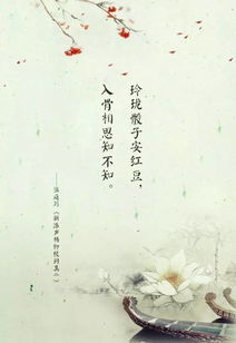诗句,决心,忘记