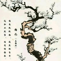 夜雪的诗句古诗