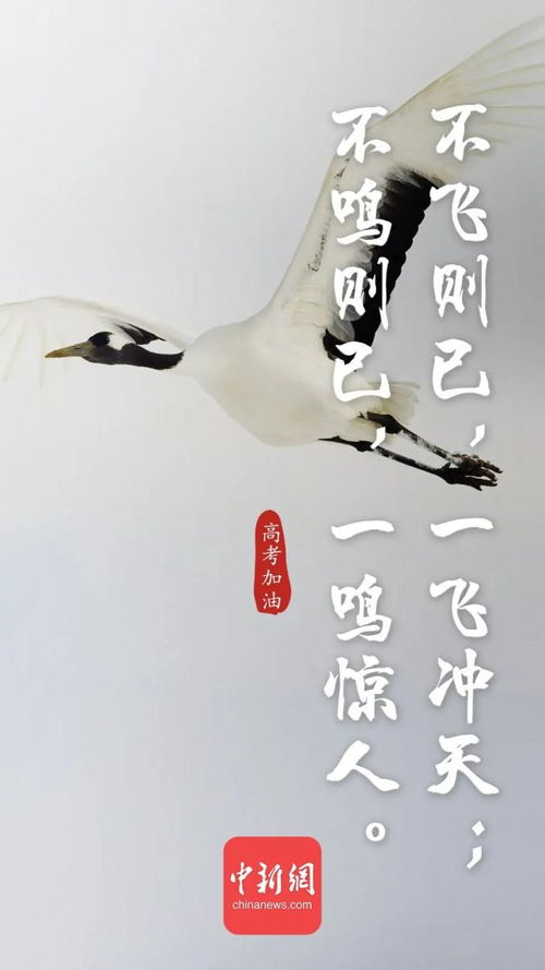 舞狮,诗句