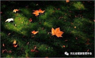 久别亲人重逢的古诗,关于重逢的古诗句,思念亲人的古诗句