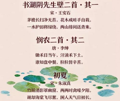 形容赞美夏天的诗句古诗词