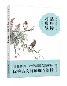 记录古诗典故的诗句