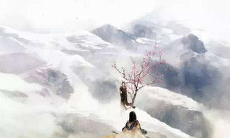 关于考试落榜的诗句