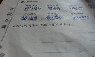 关于描写春天的诗句古诗,描写春天花的诗句古诗,描写春天柳树的诗句古诗