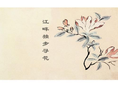 关于花的诗句五个