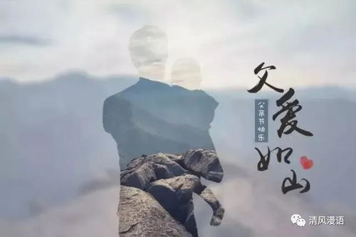 古诗,诗句,赏析,相伴