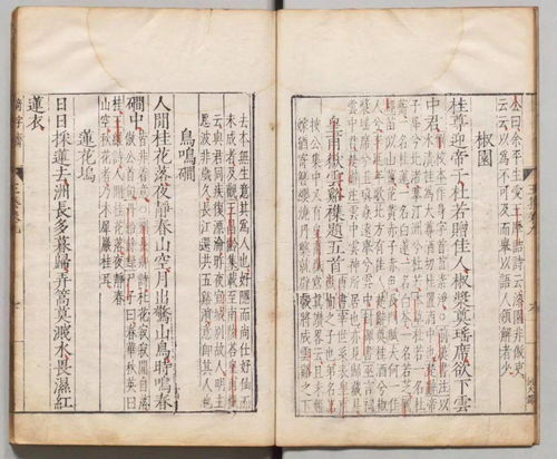 诗句,王维