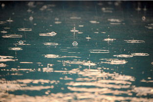 描写下雨心情不好的古诗句