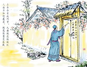 诗句,情怀,人文