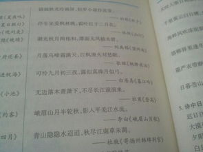 有关夏天的诗句古诗大全,描写夏天的诗句古诗大全,夏天的花诗句古诗大全