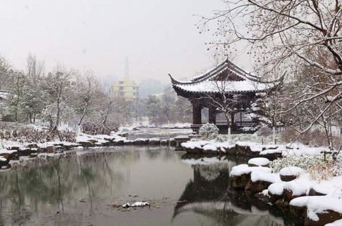 江南雪景的诗句古诗