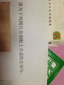 比较清新的古诗句