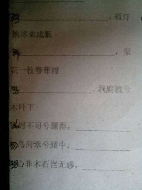诗句,高二,必修,必备