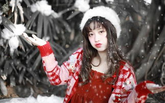 关于雪中美人的诗句