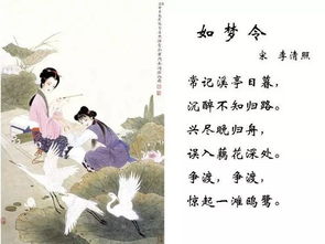 如梦令的古诗诗句
