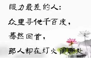 有关于我很棒的诗句