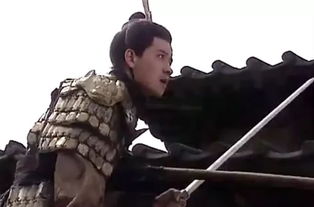 关于司马昭的的诗句