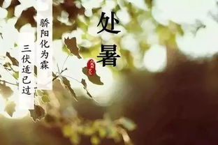 关于处暑的古诗句文