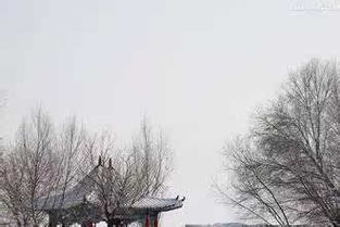 关于雪夜的诗句古诗