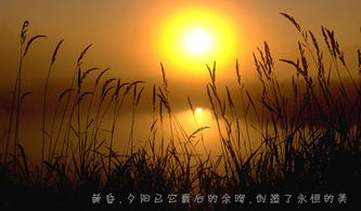 诗句,夜晚,安静,表达