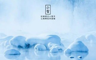 关于写雪的诗句古诗大全,赞美雪的诗句古诗大全,描写冬天雪的诗句古诗大全