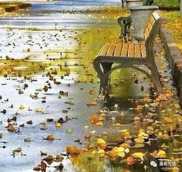 关于秋雨城市的诗句古诗