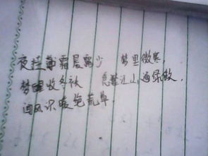 诗句