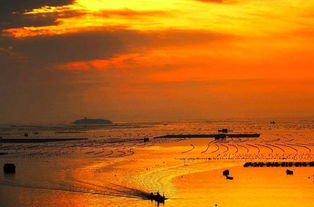 沧海桑田,诗句
