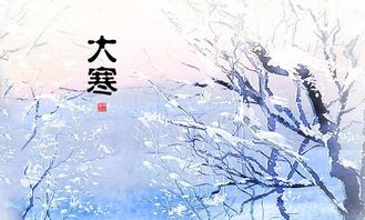 写大寒的古诗句