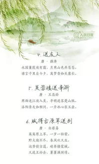 诗句,抒情,离别,大全