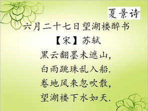 诗句,小学语文,重点