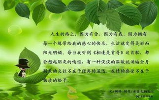 关于陪伴父母的名言或诗句,关于陪伴的名言名句或诗句,关于陪伴的诗句或名言