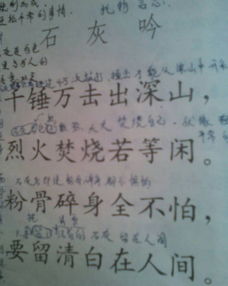 跟石灰吟这首古诗类似的诗句