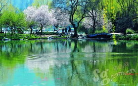 关于太湖茶叶的诗句