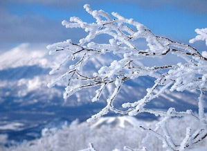 冬雪消融的古诗句