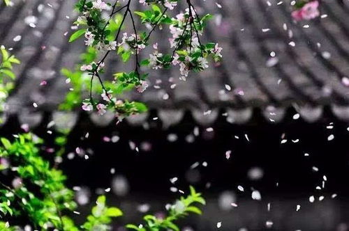 关于花落纷纷的诗句