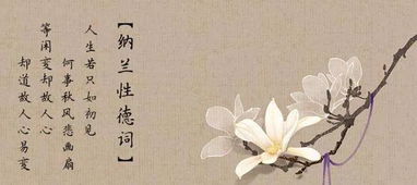 淡薄,诗句