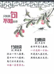 关于建言的古诗句