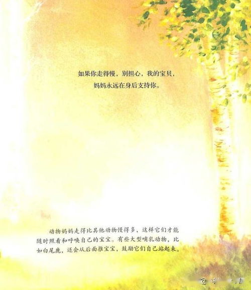 母爱,诗句