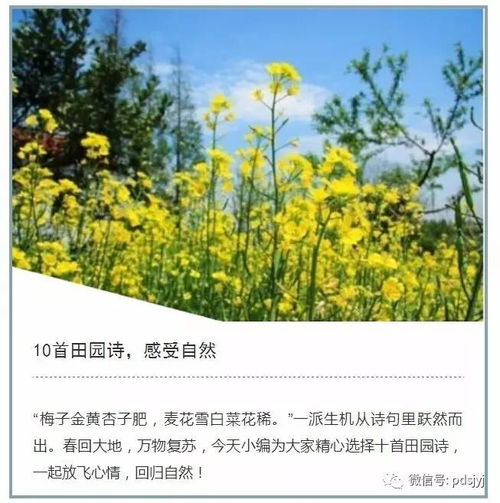 关于对大自然感觉的诗句