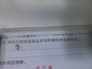 古诗山行描写喜爱枫林的诗句