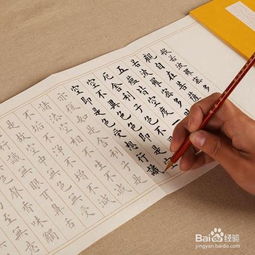 适合小学记叙文的古诗句