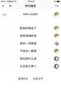 关于程序的诗句