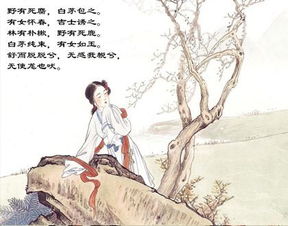 关于仲尼的诗句