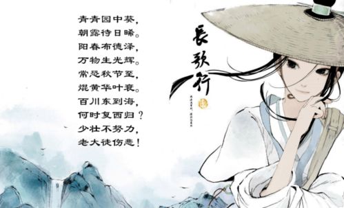 诗句,形容,短暂,生命