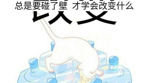 真诚相待的古诗句