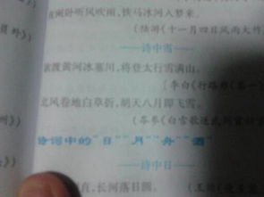 关于喻雪的诗句