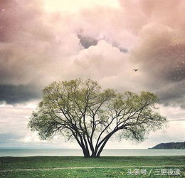 关于抬头看天空的诗句