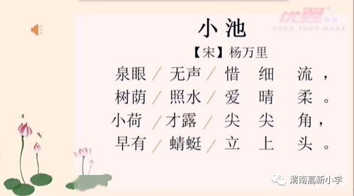 关于校园的诗句大全集