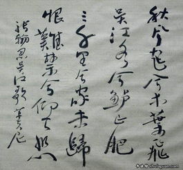 关于思乡的一句诗句是什么